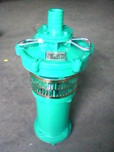 油浸泵3KW2寸380V用于农田排灌园林喷灌井下提水水塔送水城建用水